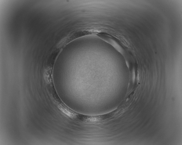 X0000084030237200702161442