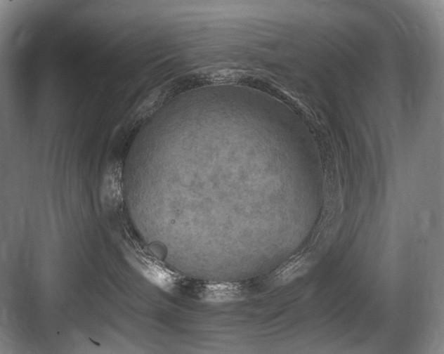 X0000084030240200702161442