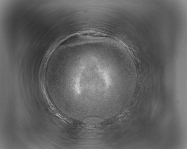 X0000084030241200702161442