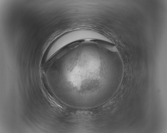 X0000084030242200702161442