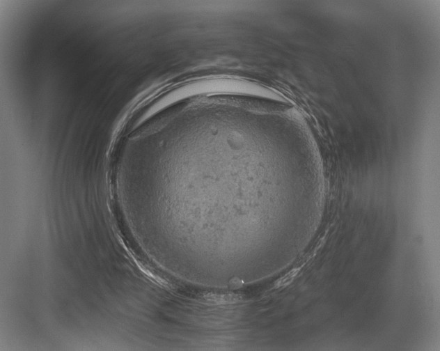 X0000084030245200702161442