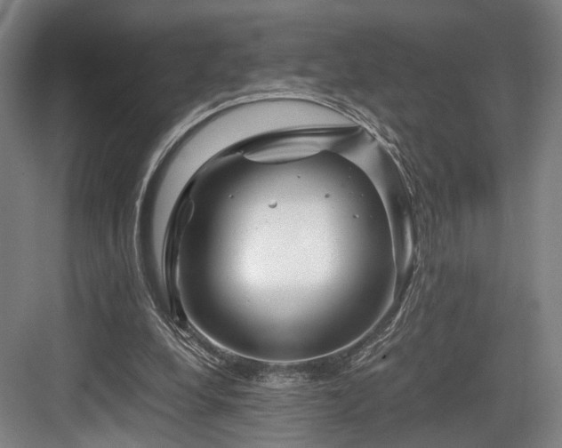 X0000084030248200702161442