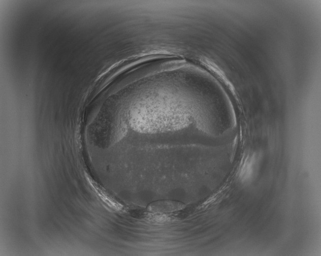 X0000084030249200702161442