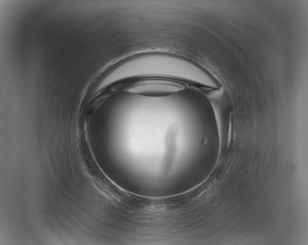 X0000084030252200702161442