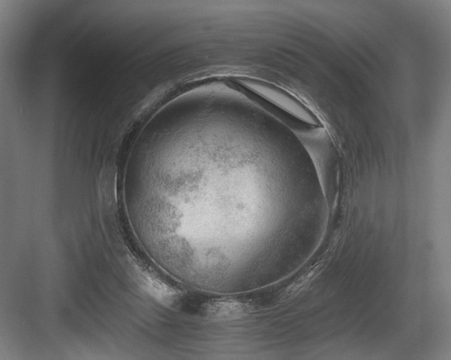 X0000084030253200702161442