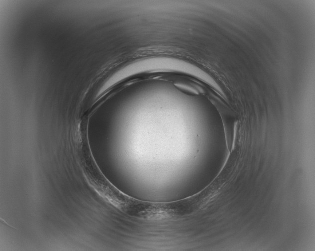 X0000084030254200702161442