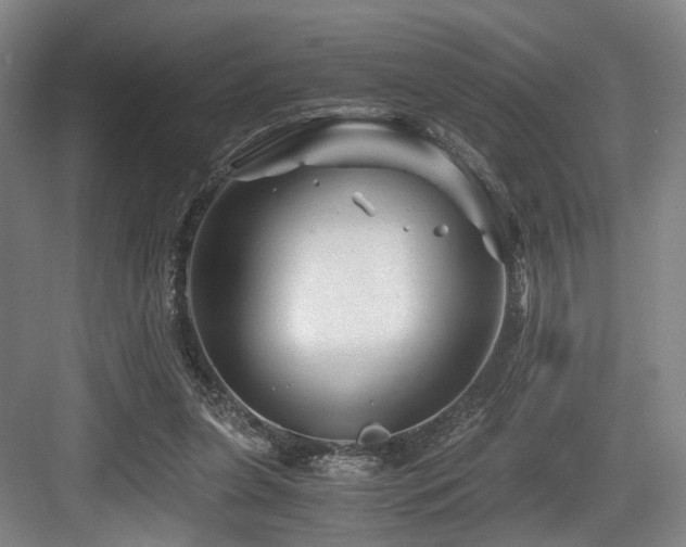 X0000084030255200702161442