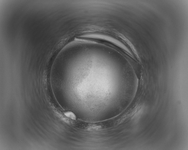 X0000084030257200702161442