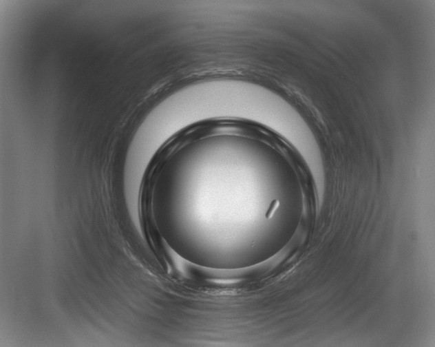 X0000084030260200702161442