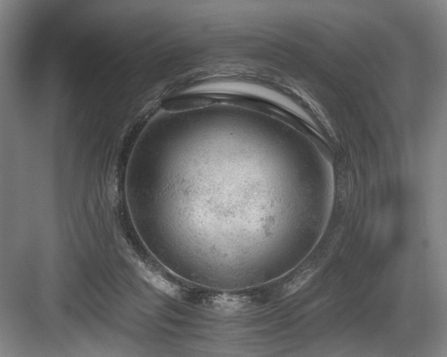 X0000084030261200702161442