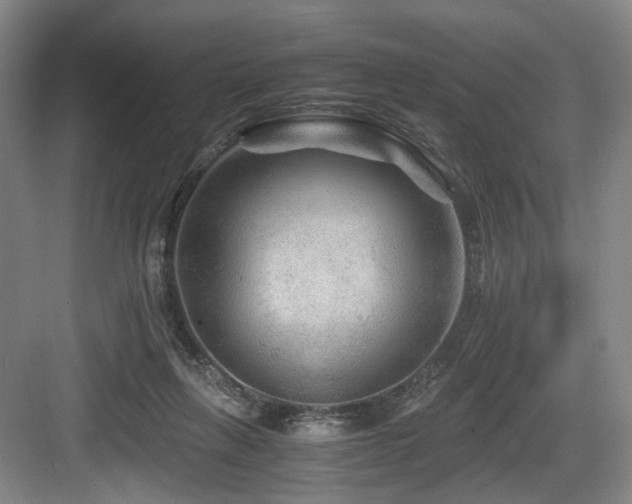 X0000084030263200702161442