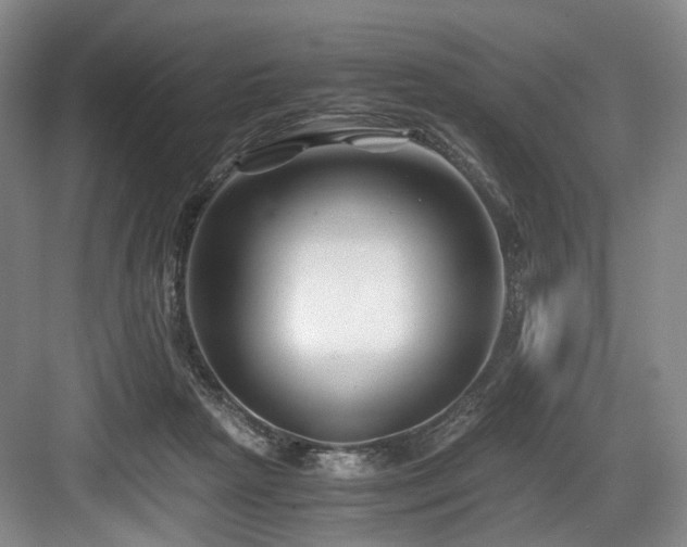 X0000084030265200702161442