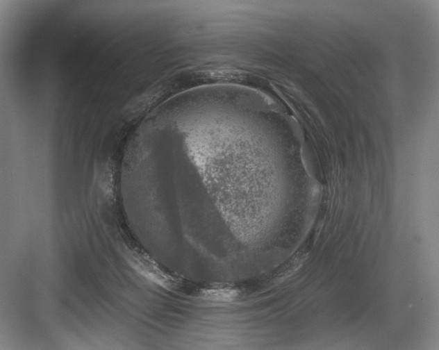 X0000084030266200702161442