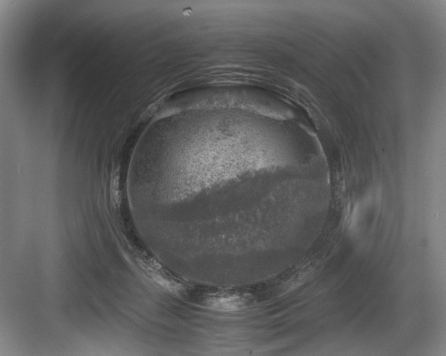 X0000084030267200702161442