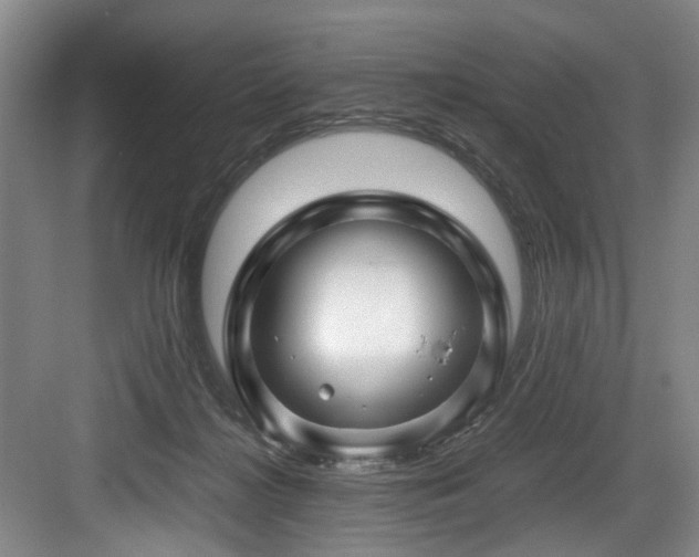 X0000084030268200702161442