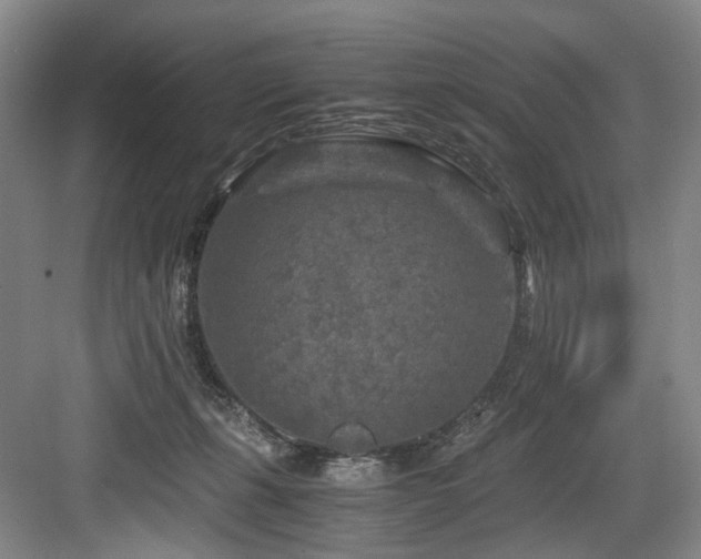 X0000084030271200702161442