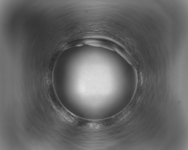 X0000084030272200702161442