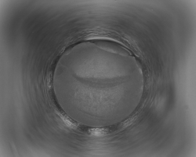 X0000084030273200702161442