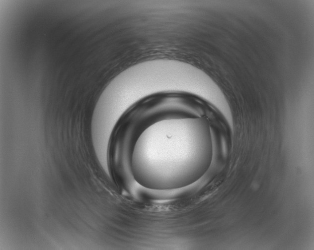 X0000084030276200702161442