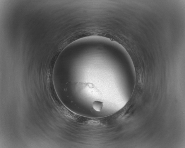 X0000084030279200702161442