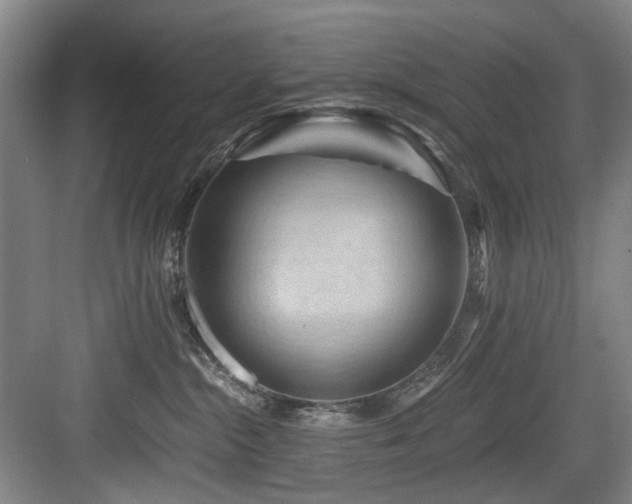 X0000084030284200702161442