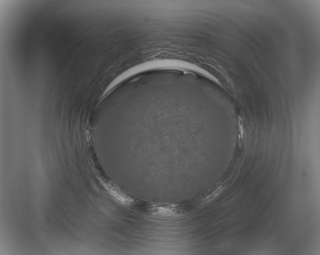 X0000084030285200702161442