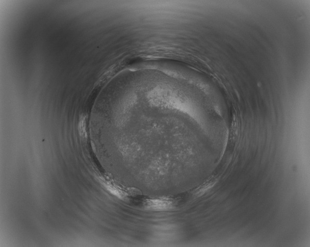 X0000084030286200702161442