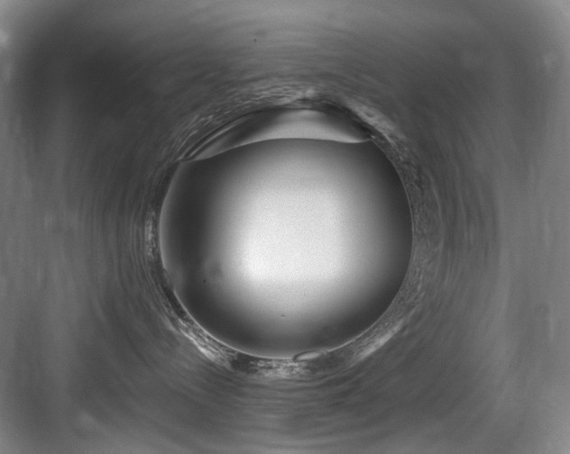 X0000084030288200702161442