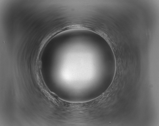 X0000084030289200702161442