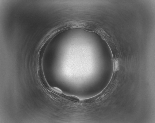 X0000084030291200702161442