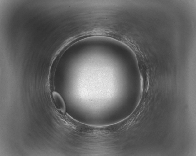 X0000084030292200702161442