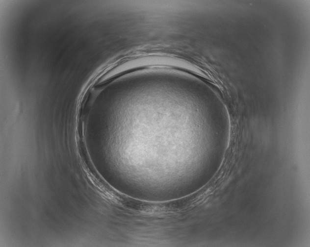 X0000084030293200702161442