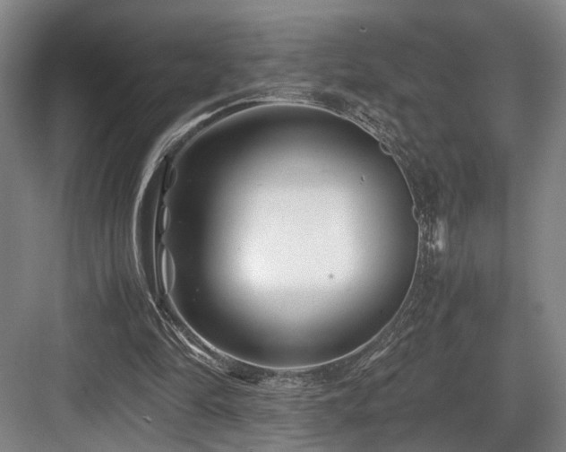 X0000084030294200702161442