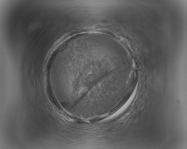 X0000084030295200702161442