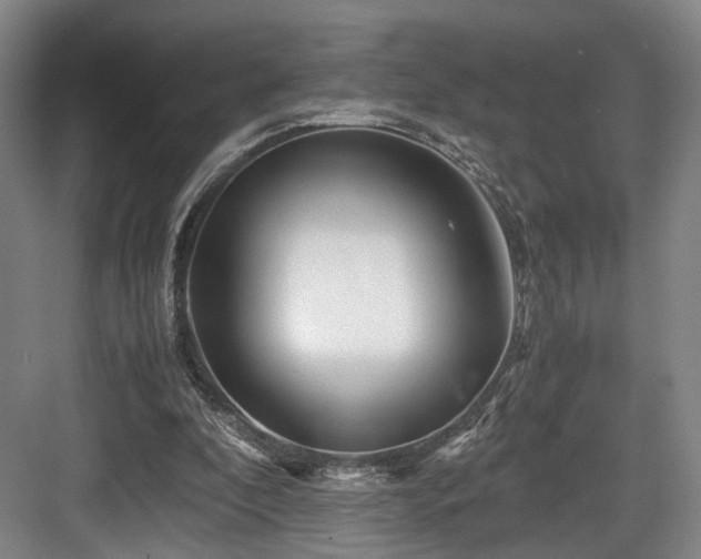 X0000084030296200702161441