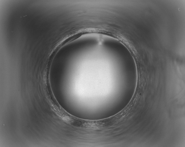 X0000084030297200702161441