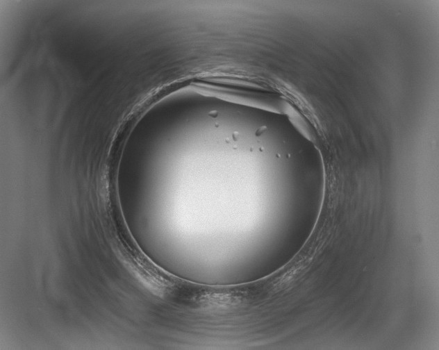 X0000084030298200702161441