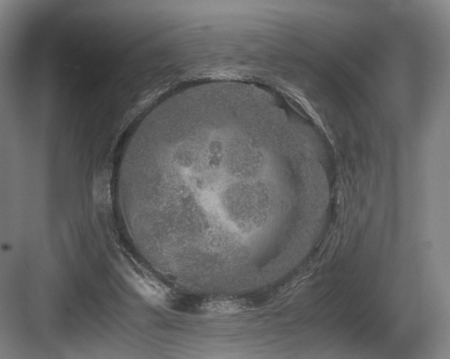 X0000084030299200702161441