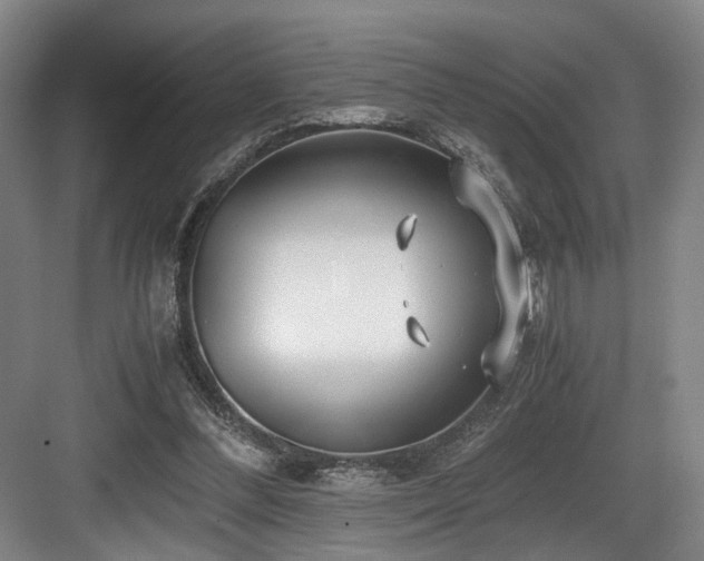 X0000084030300200702161441