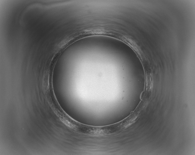 X0000084030301200702161441