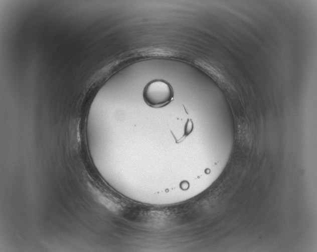 X0000084030302200702161441