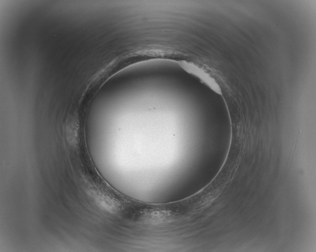 X0000084030304200702161441