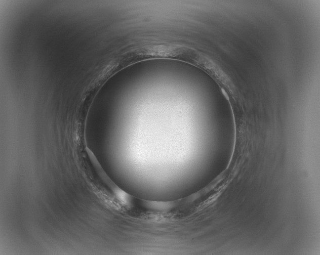 X0000084030305200702161441