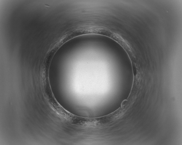 X0000084030306200702161441