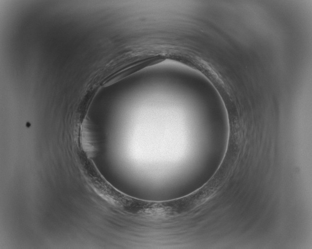 X0000084030307200702161441