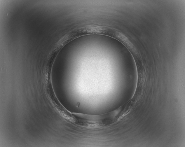 X0000084030309200702161441