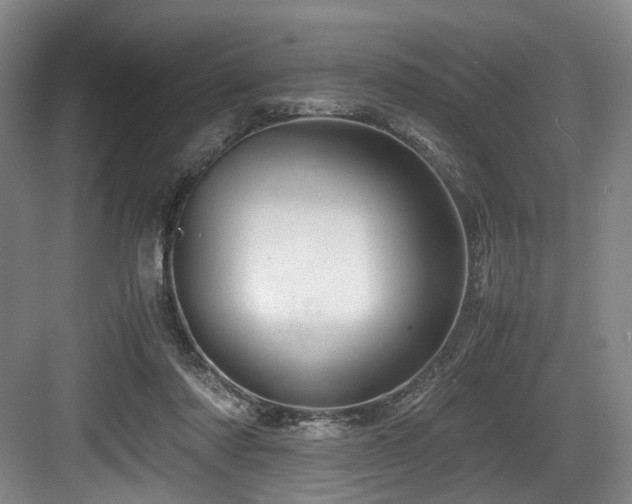 X0000084030310200702161441