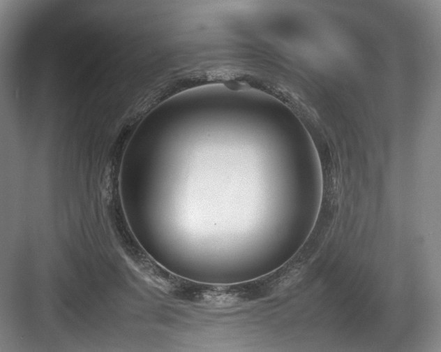 X0000084030311200702161441