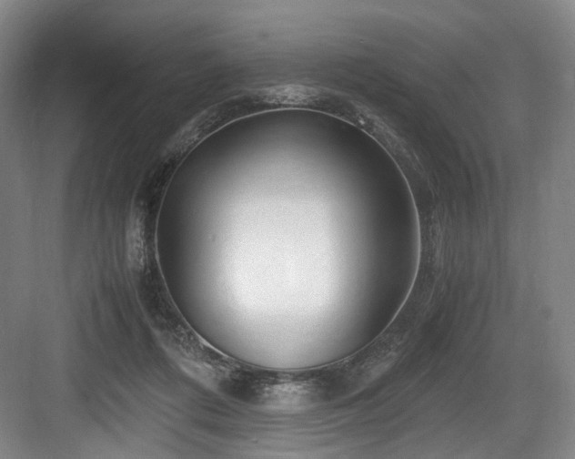 X0000084030312200702161441