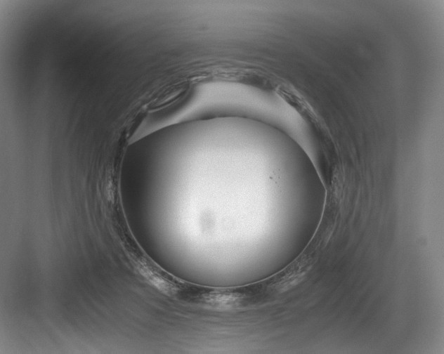 X0000084030313200702161441